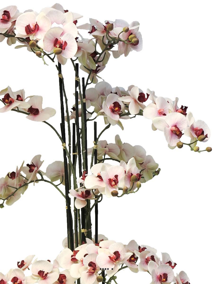 Artificielles - Orchidée Phalaenopsis factice Top Qualité & pot H140cm Rose-pâle-BEST - dimhaut: H 140 cm - couleur: Rose-crème - Imagen 3