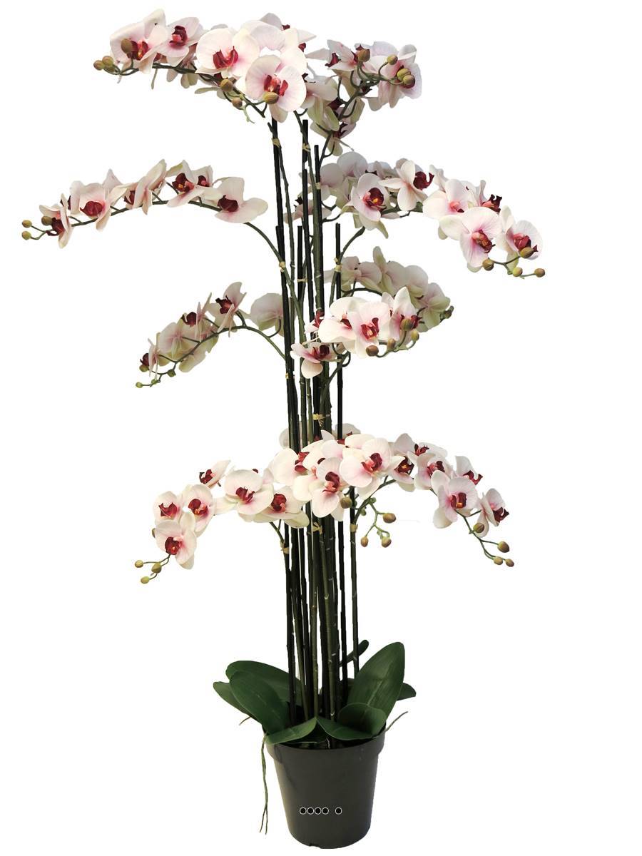 Artificielles - Orchidée Phalaenopsis factice Top Qualité & pot H140cm Rose-pâle-BEST - dimhaut: H 140 cm - couleur: Rose-crème - Imagen 2