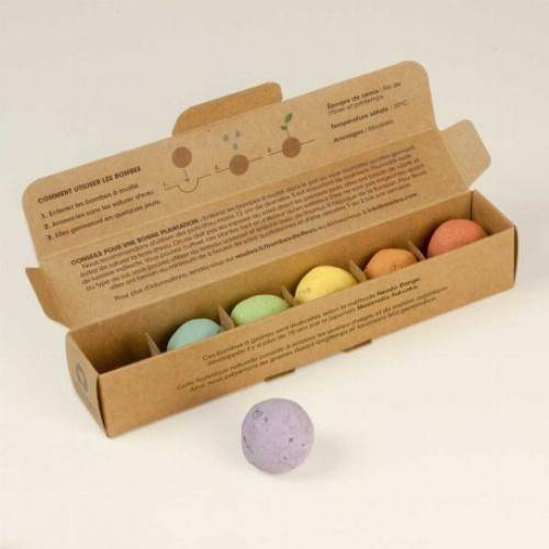 Pack de graines en bombe de 6 fleurs sauvages - Imagen 4