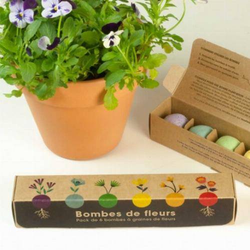 Pack de graines en bombe de 6 fleurs sauvages - Imagen 1