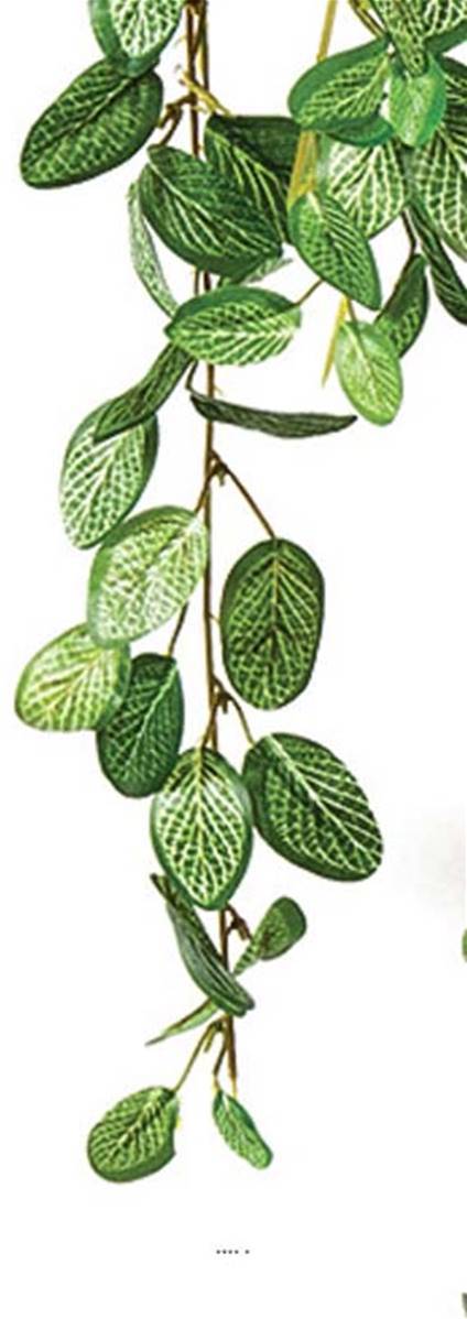 Artificielles - Chute de fittonia artificiel L 85 cm 706 feuilles vert - Imagen 3