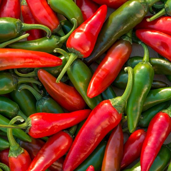 Piment doux Spadi F1 (Création Vilmorin) - Vilmorin le sachet de 36 graines environ (0.3g)
