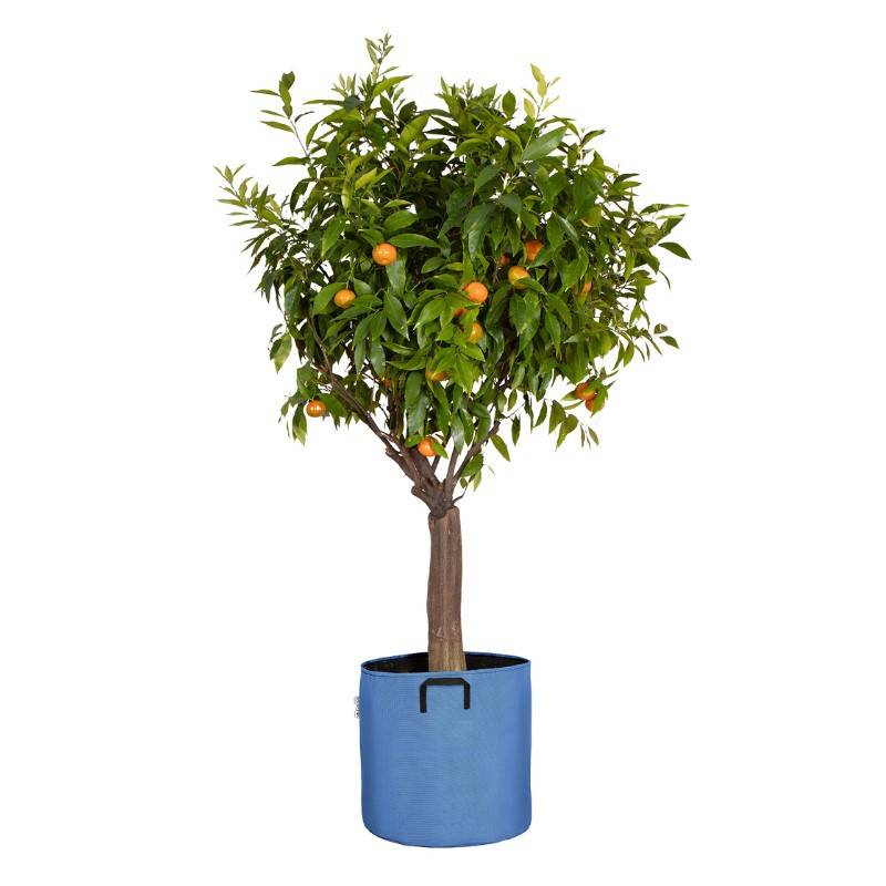 Bourgeon - Sac pour plantations respirant 40x40 cm Bleu - Bourgeon - Imagen 1
