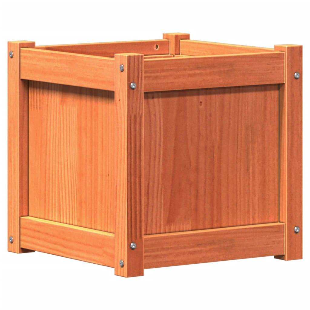 Jardinière bois de pin massif cire marron 40 x 40 x 40 cm - PANGIVO - Image 7