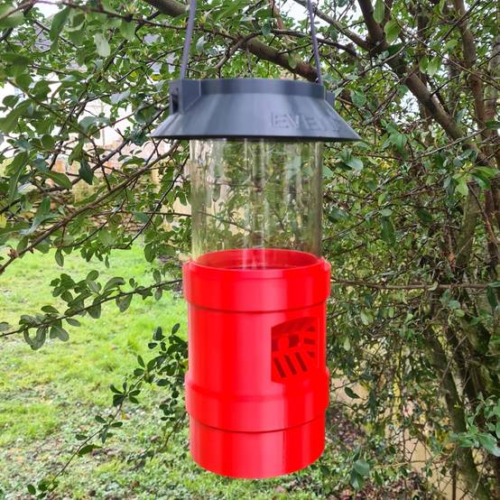 Piège à Frelons Asiatiques - MINI - Gris Anthracite/Rouge - Image 2