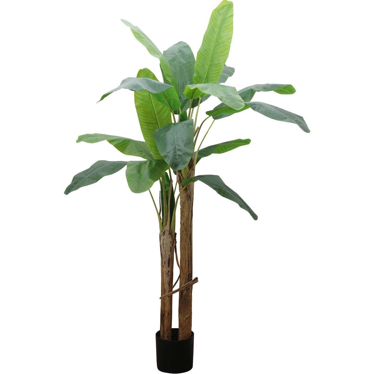 Jardindeco - Bananier artificiel 2 troncs hauteur 185 cm - Imagen 1