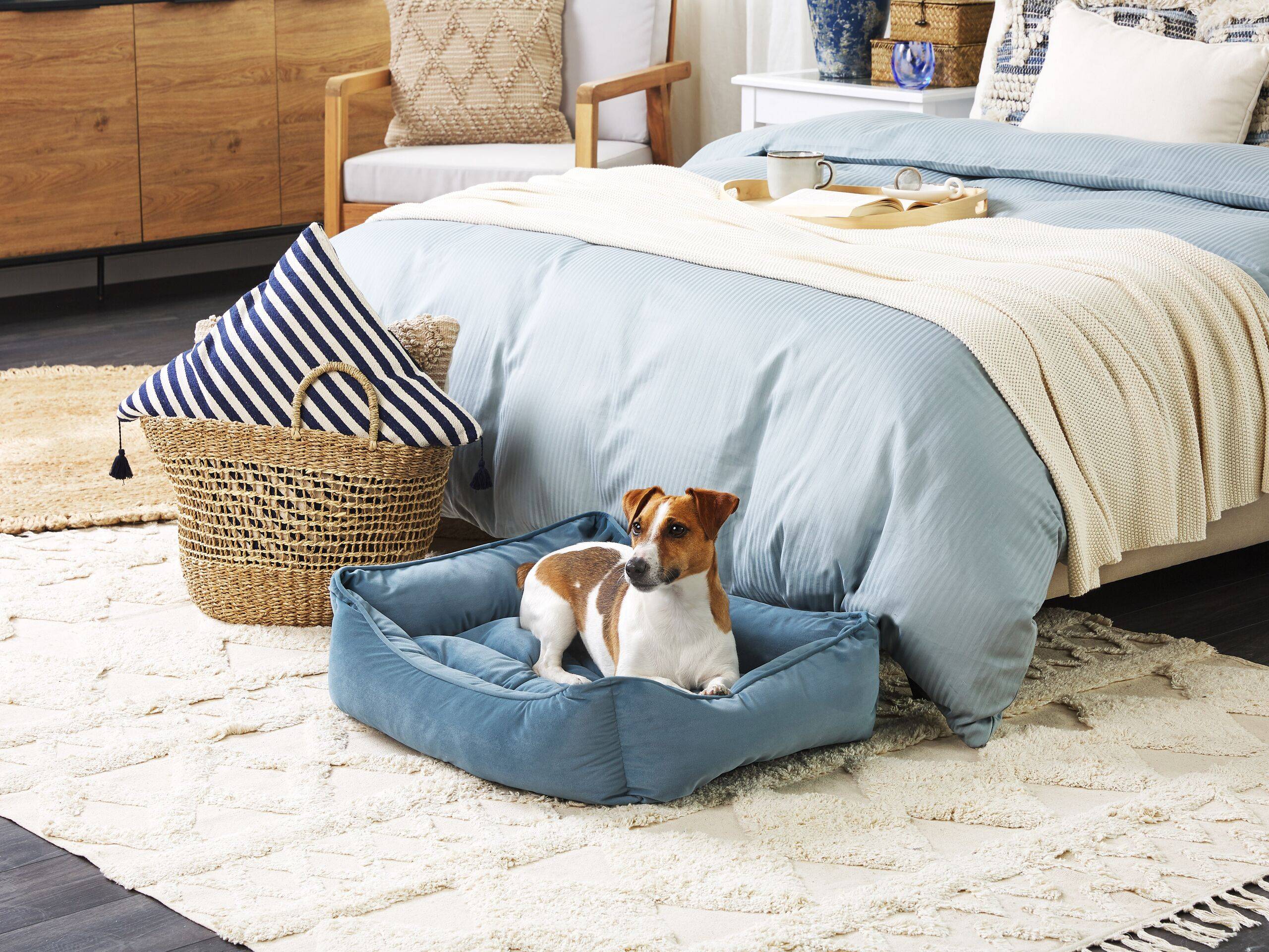 Beliani - Lit pour animal Velours Bleu IZMIR - 70x60x18- Beliani - Image 1