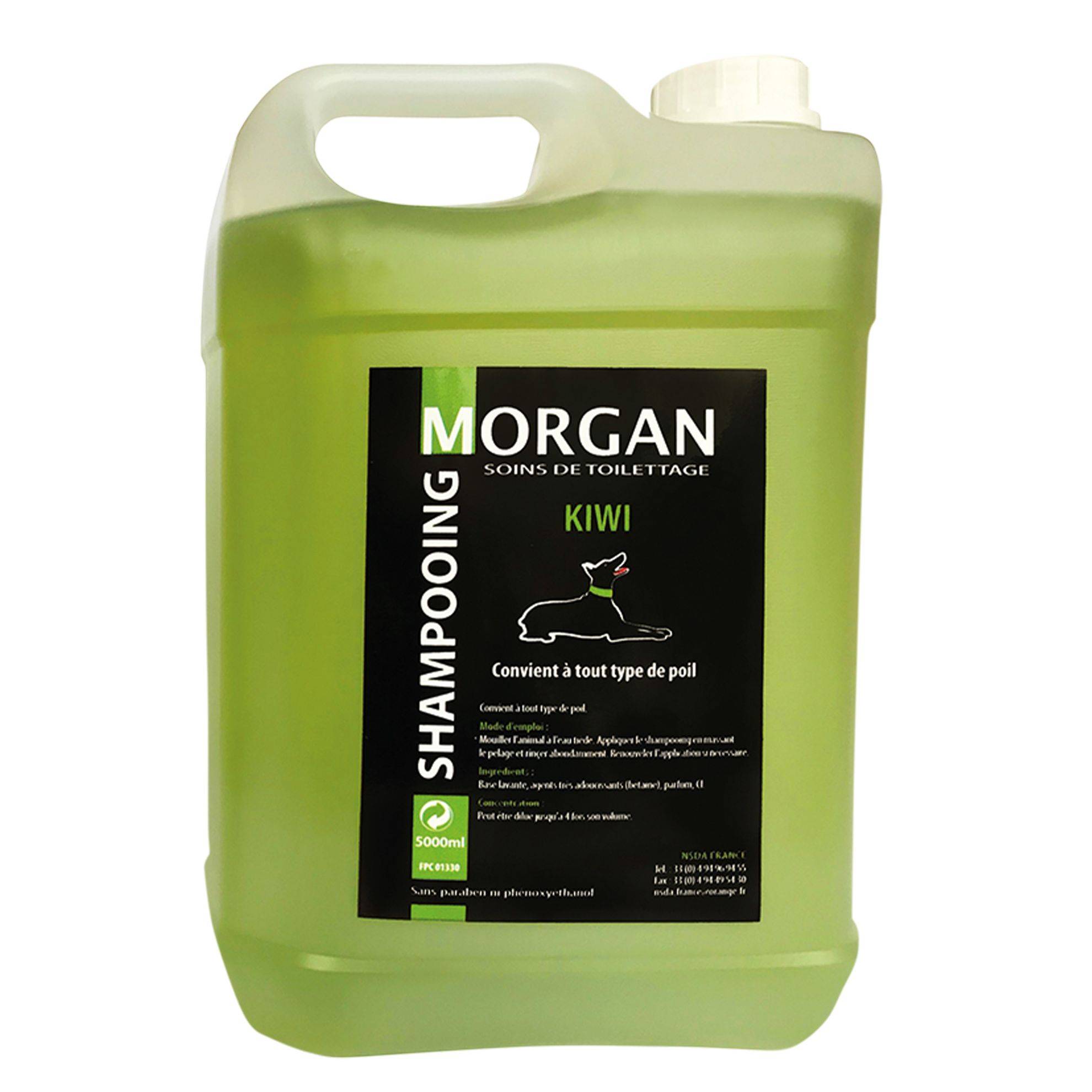 Shampoing protéiné senteur Kiwi Morgan : 5L MORGAN