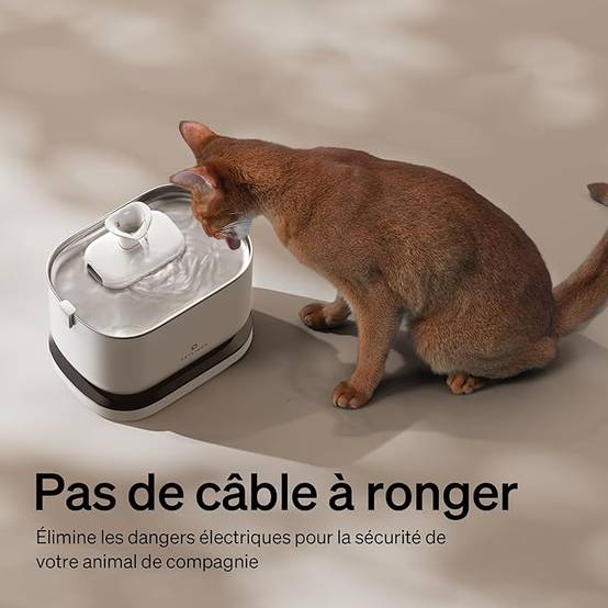 Petlibro Fontaine à eau Dockstream avec batterie Blanche - Image 2