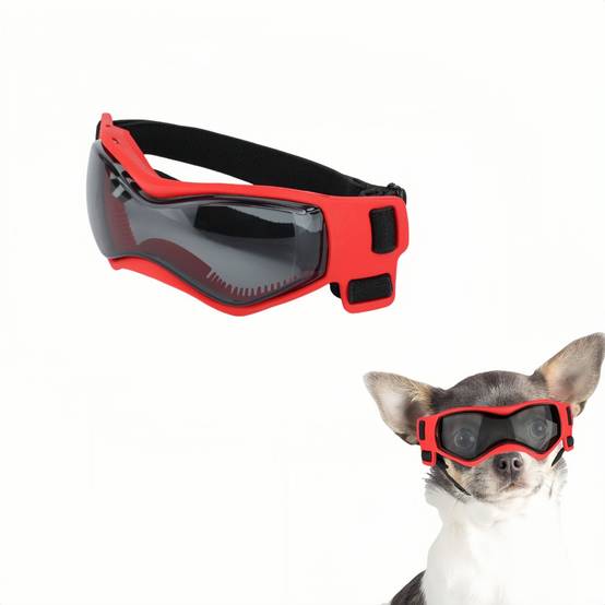 IntiMeg - Lunettes de soleil pour chiot ROUGE IntiMeg - Image 1