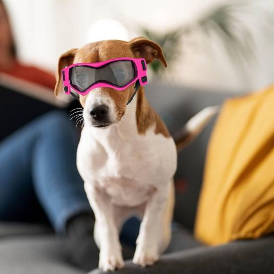 IntiMeg - Lunettes de soleil pour chiot ROUGE IntiMeg - Image 6