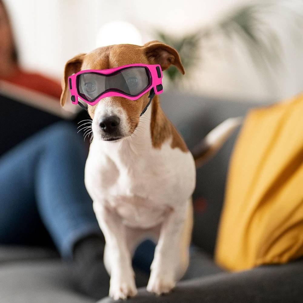 IntiMeg - Lunettes de soleil pour chiot ROUGE IntiMeg - Image 6