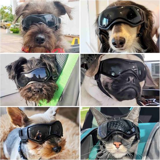 IntiMeg - Lunettes de soleil pour chiot ROUGE IntiMeg - Image 3