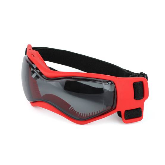 IntiMeg - Lunettes de soleil pour chiot ROUGE IntiMeg - Image 2