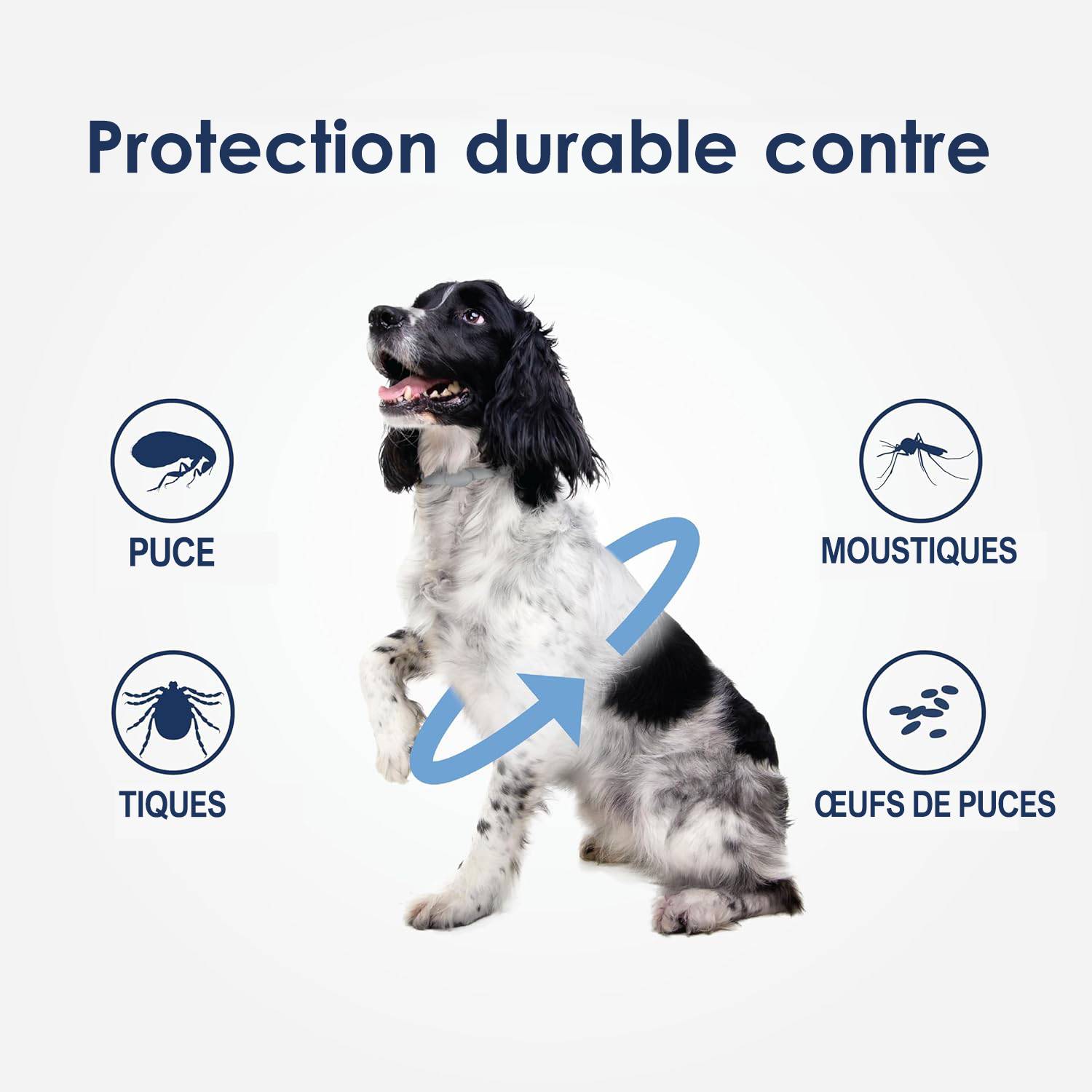 DtopbuyAge - Collier antiparasitaire pour chien DtopbuyAge - Image 2