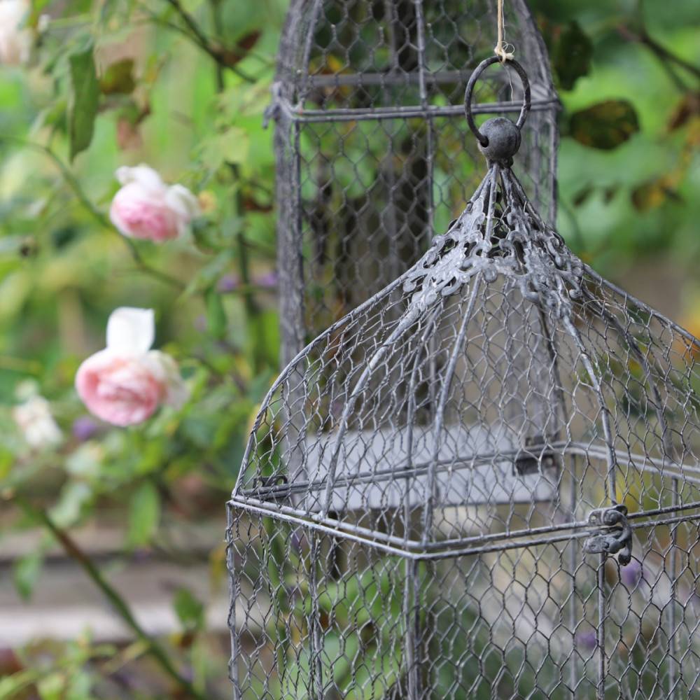 Cage à oiseaux bougeoir grillagée en métal gris 26 x 19 x 53 cm Chemin de campagne - Image 4