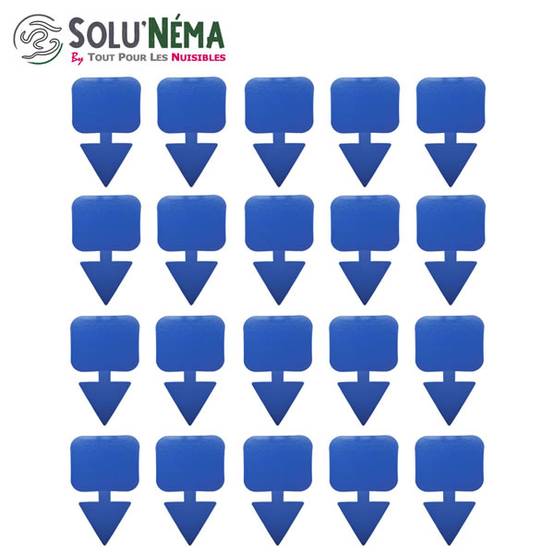 Solu'Néma - 20 Pièges Collants Bleus pour les Thrips, Moucherons, Design XXL - Image 2