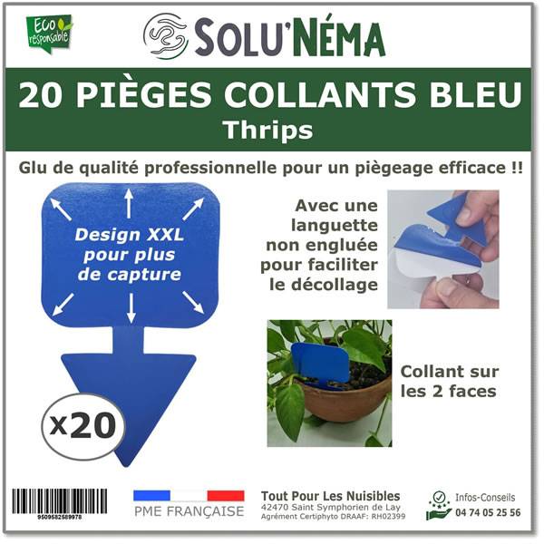 Solu'Néma - 20 Pièges Collants Bleus pour les Thrips, Moucherons, Design XXL - Image 1