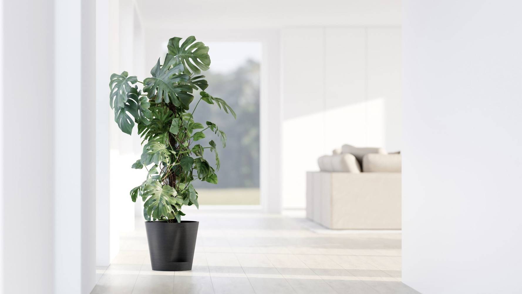 Ecopots - Pot Rond Venice 2 Gris Foncé + réservoir d'eau - Ø 30 x H. 26,3 cm - 4 L ECOPOTS - Imagen 3
