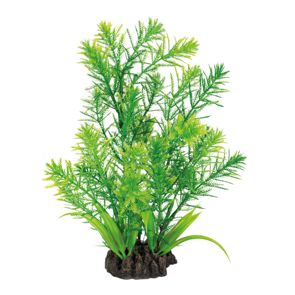 Superfish - Plante artificielle Hottonia 25 cm vert - SUPERFISH