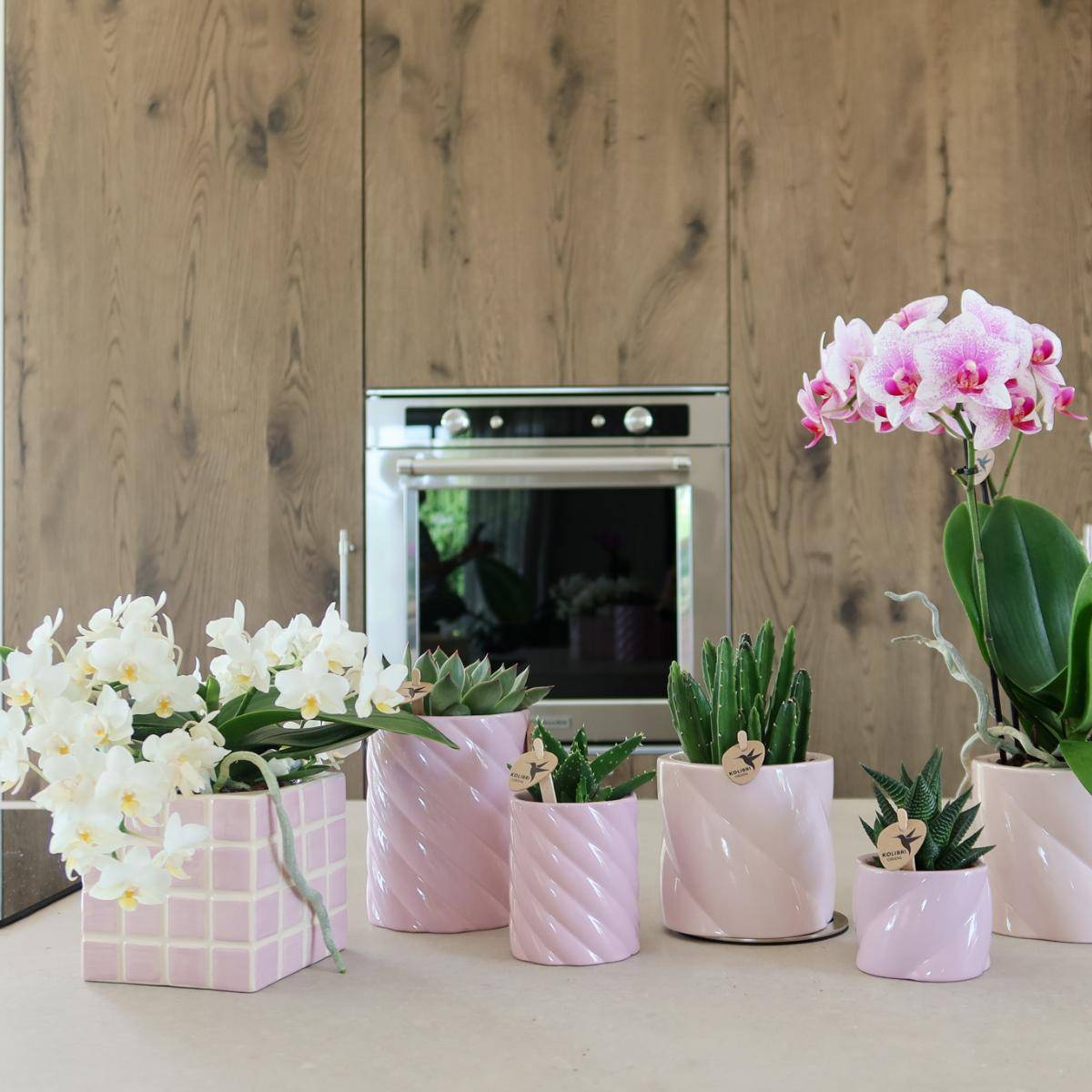 Pot décoratif Mosa rose- La Green Touch - Imagen 5