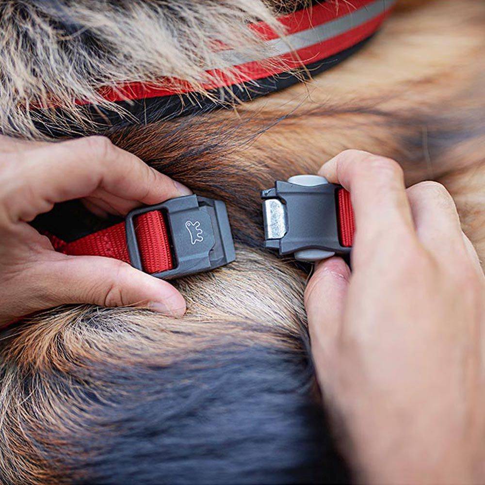 Ferplast - Harnais pour Chiens de Taille Grande DAYTONA CROSS L, Réfléchissant, Rembourrée, avec Boucle Magnétique - Imagen 5