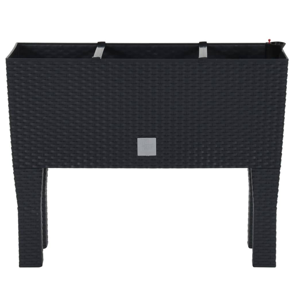 Lit surélevé de jardin Anthracite 60 x 25 x 46 cm PP Rotin - PANGIVO - Image 3