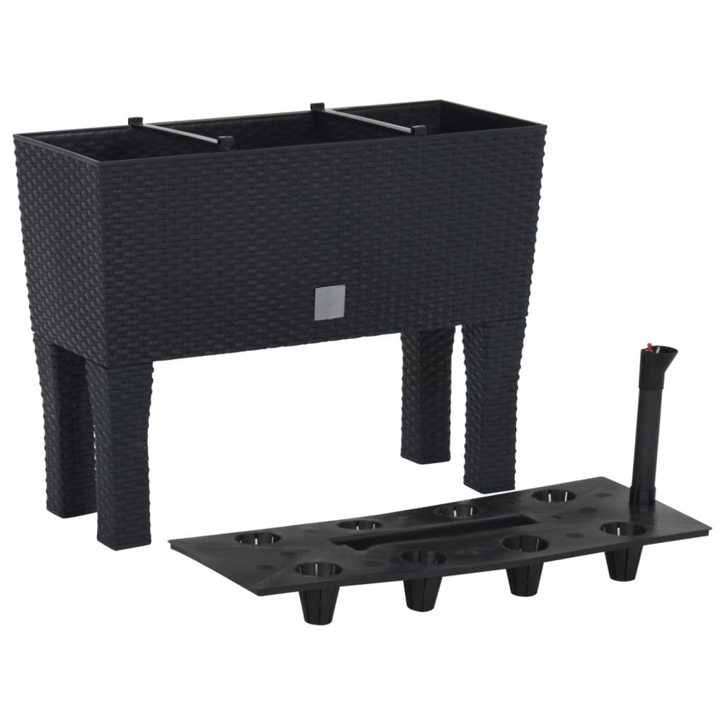Lit surélevé de jardin Anthracite 60 x 25 x 46 cm PP Rotin - PANGIVO - Image 1
