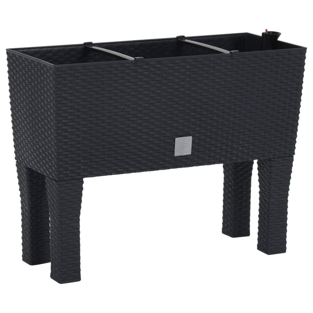 Lit surélevé de jardin Anthracite 60 x 25 x 46 cm PP Rotin - PANGIVO - Image 2