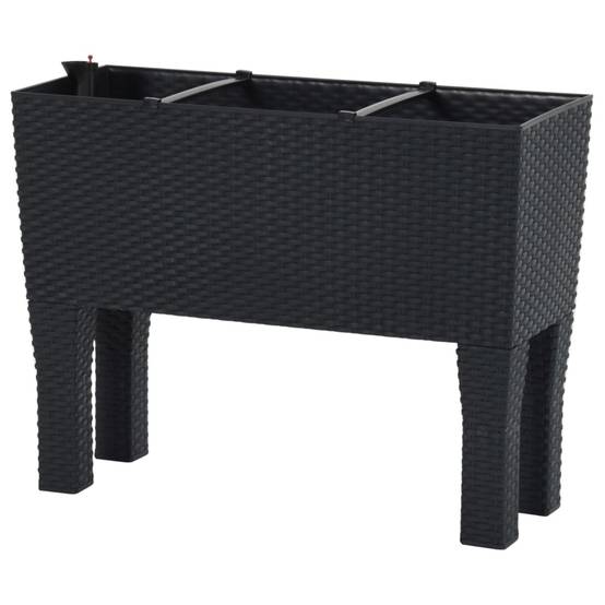 Lit surélevé de jardin Anthracite 60 x 25 x 46 cm PP Rotin - PANGIVO - Image 5