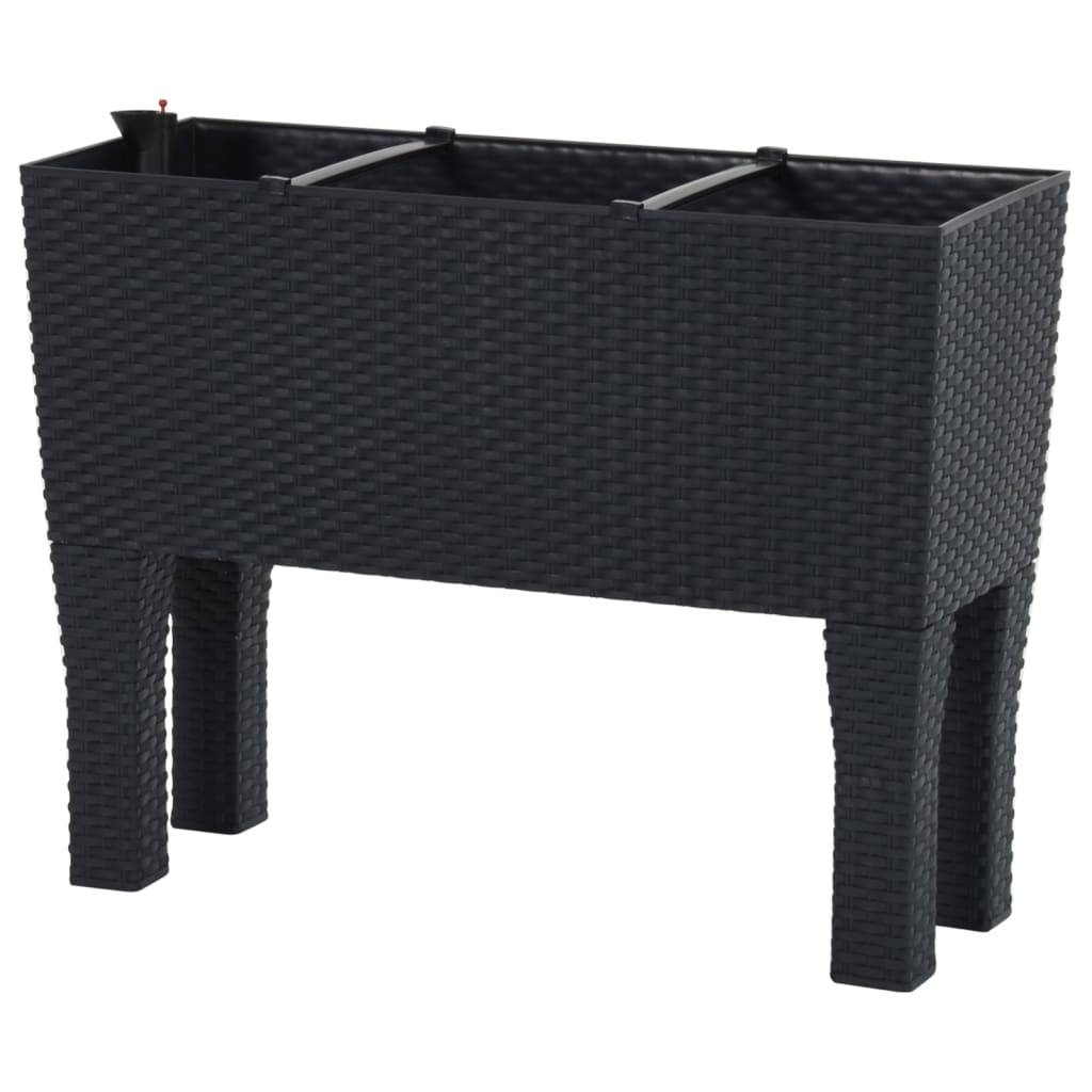 Lit surélevé de jardin Anthracite 60 x 25 x 46 cm PP Rotin - PANGIVO - Image 5