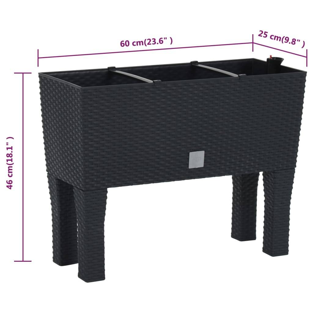 Lit surélevé de jardin Anthracite 60 x 25 x 46 cm PP Rotin - PANGIVO - Image 10
