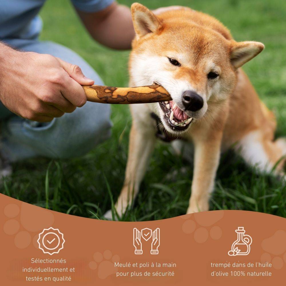 Wildfang - Pack chiot « Amour marin » - pour chiens de taille moyenne jusqu'à 25 kg - Image 10