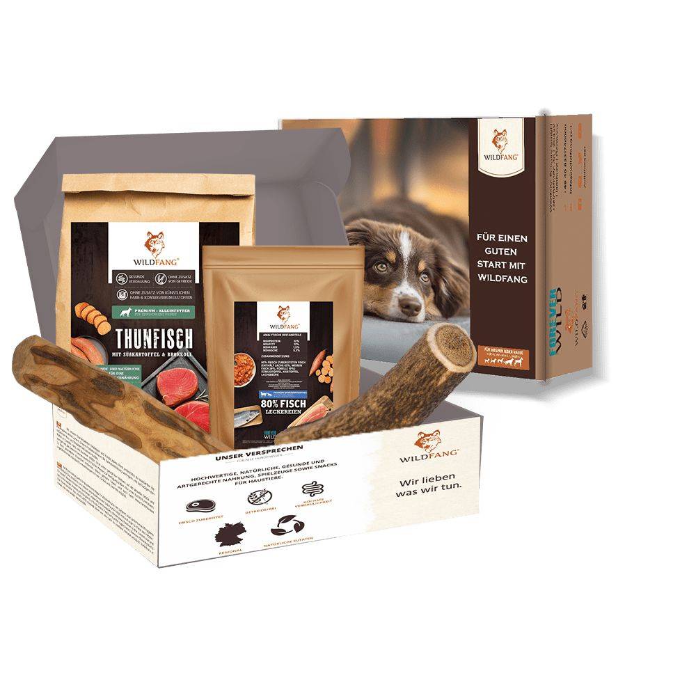 Wildfang - Pack chiot « Amour marin » - pour chiens de taille moyenne jusqu'à 25 kg - Image 1