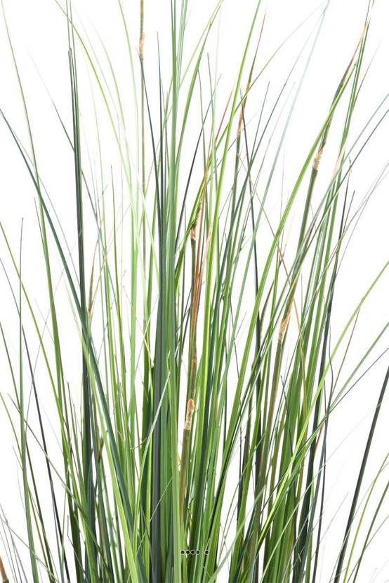 Graminée en pot artificielle Herbe à oignon bambou H 120 cm Vert - dimhaut: H 120 cm - couleur: Vert - Image 2