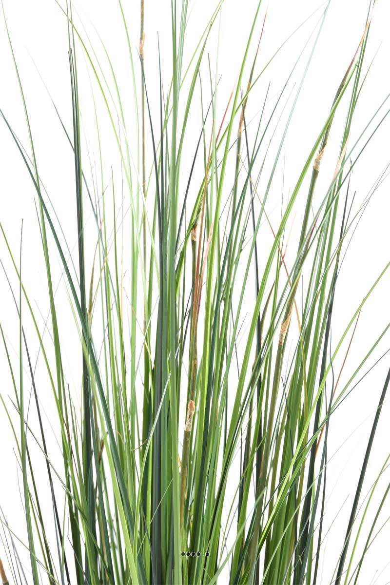 Graminée en pot artificielle Herbe à oignon bambou H 120 cm Vert - dimhaut: H 120 cm - couleur: Vert - Image 2