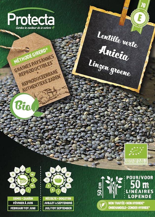Protecta - Semence Lentille Verte Anicia BIO