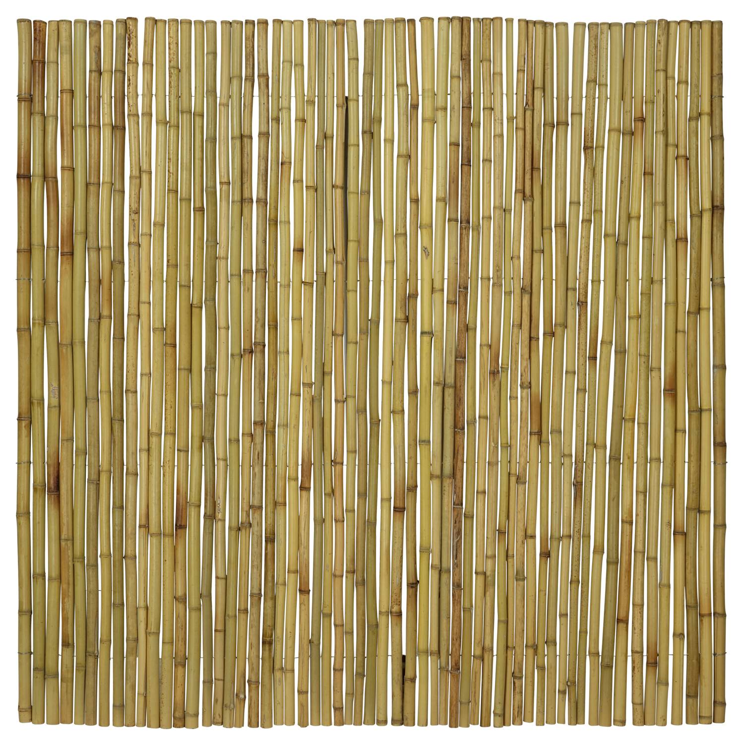 0 - Canisse bambou rond 180 x 180 cm - Image 2