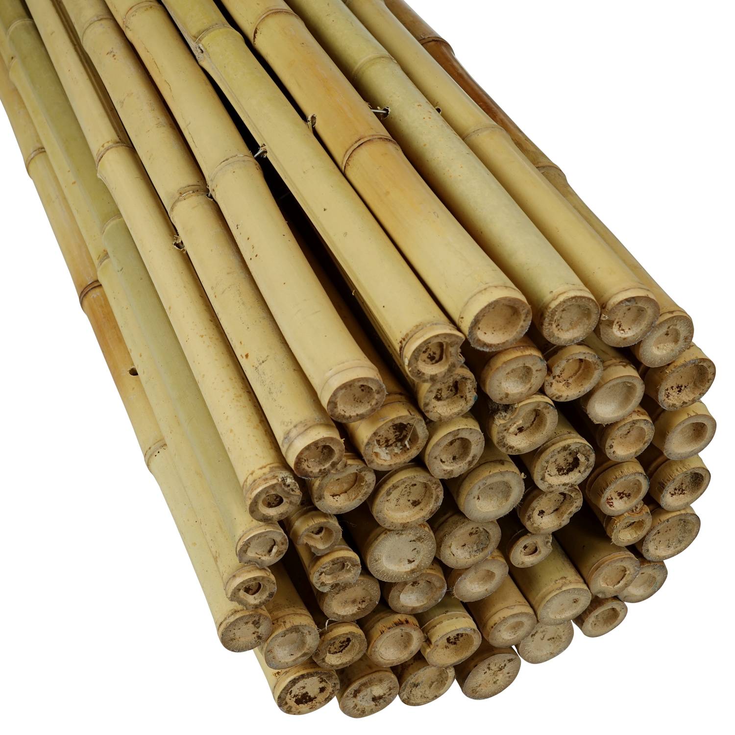 0 - Canisse bambou rond 180 x 180 cm - Image 1