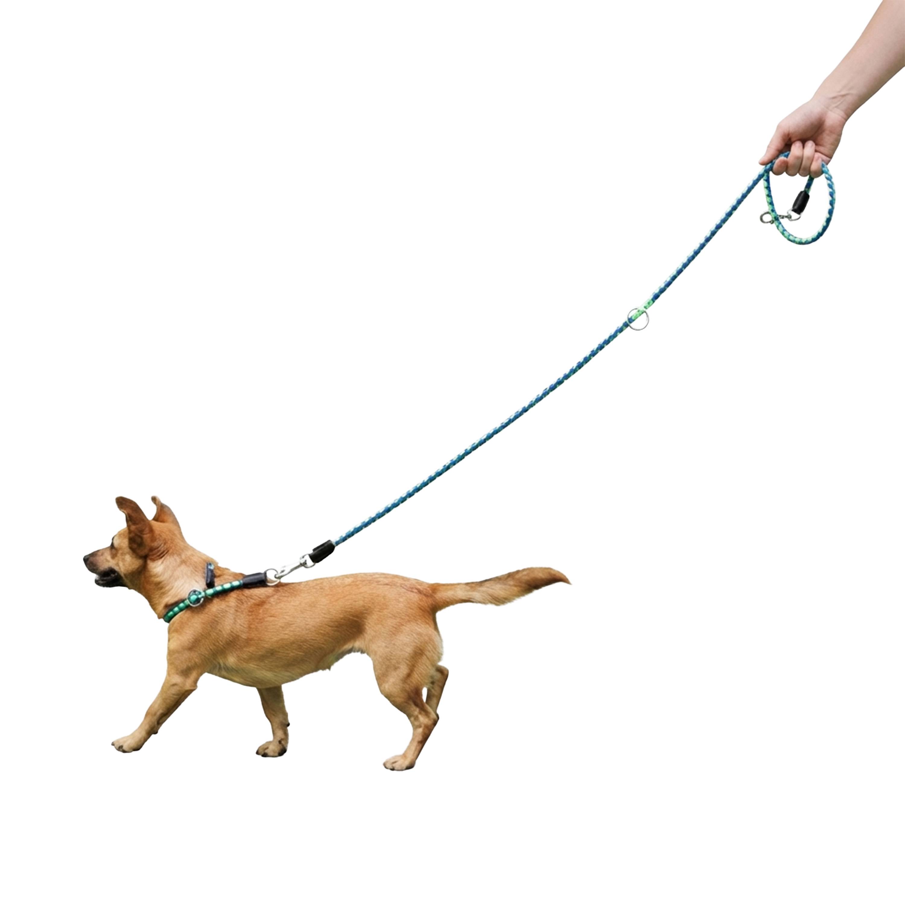 Ferplast - Laisse de Dressage pour Chiens en Nylon TWIST MATIC GA12/200, Mousqueton Magnétique Automatique - Imagen 4