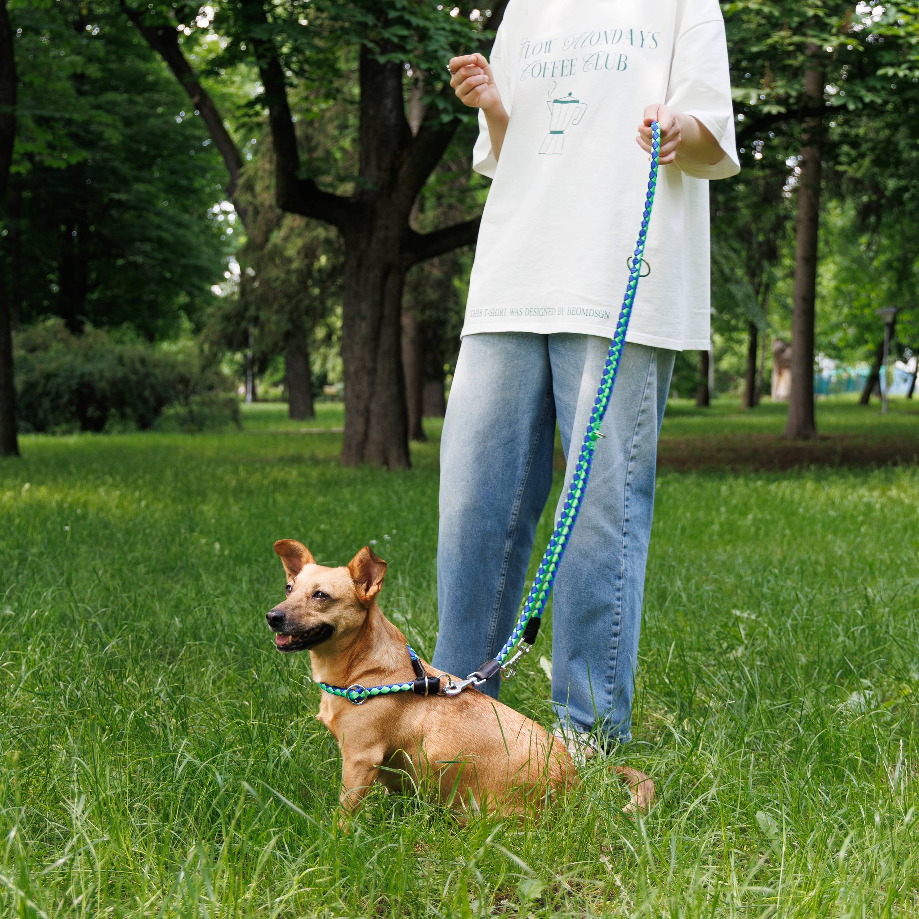 Ferplast - Laisse de Dressage pour Chiens en Nylon TWIST MATIC GA12/200, Mousqueton Magnétique Automatique - Imagen 3