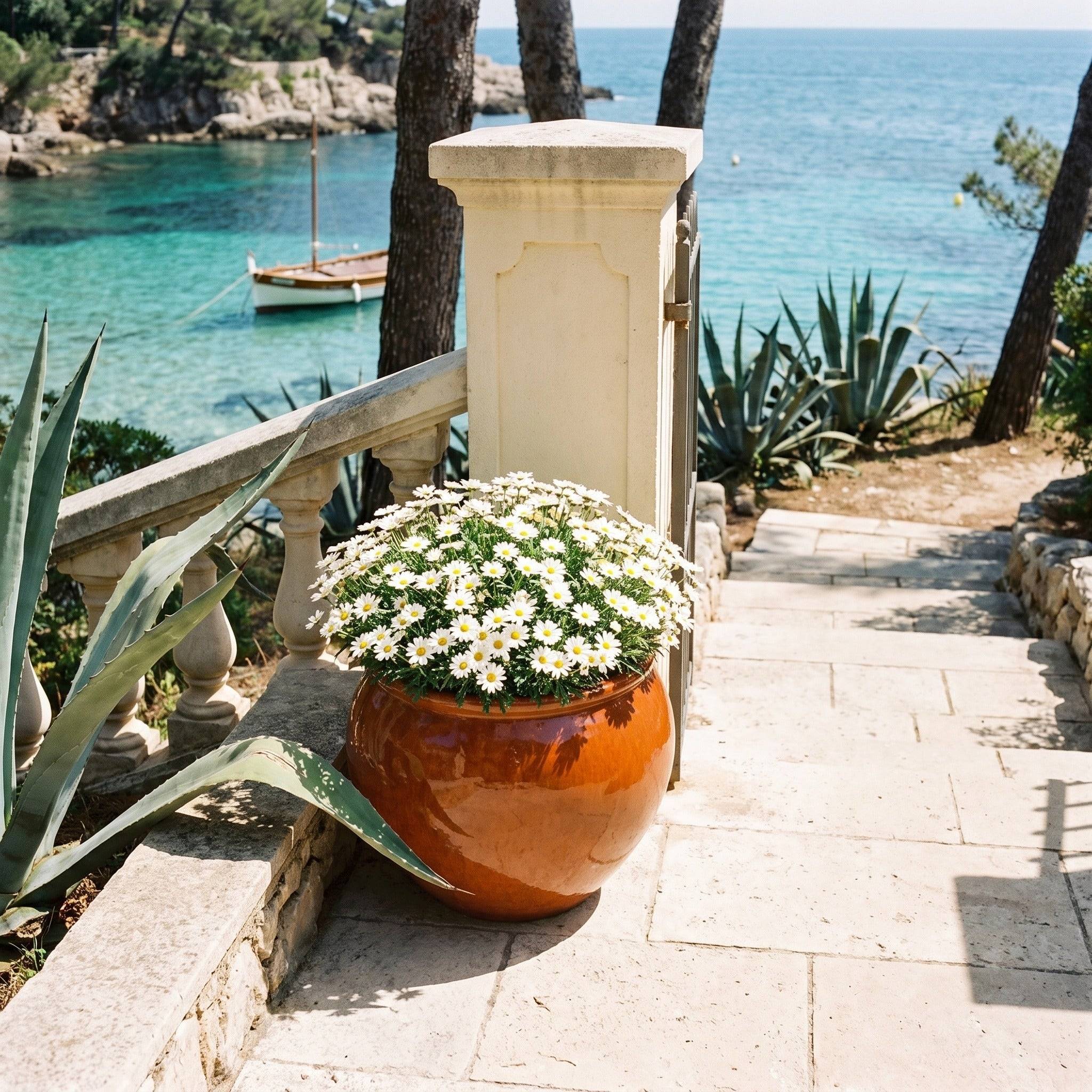 Provencelia - Pot LUTECE 53x43cm orange tropical - Image 5