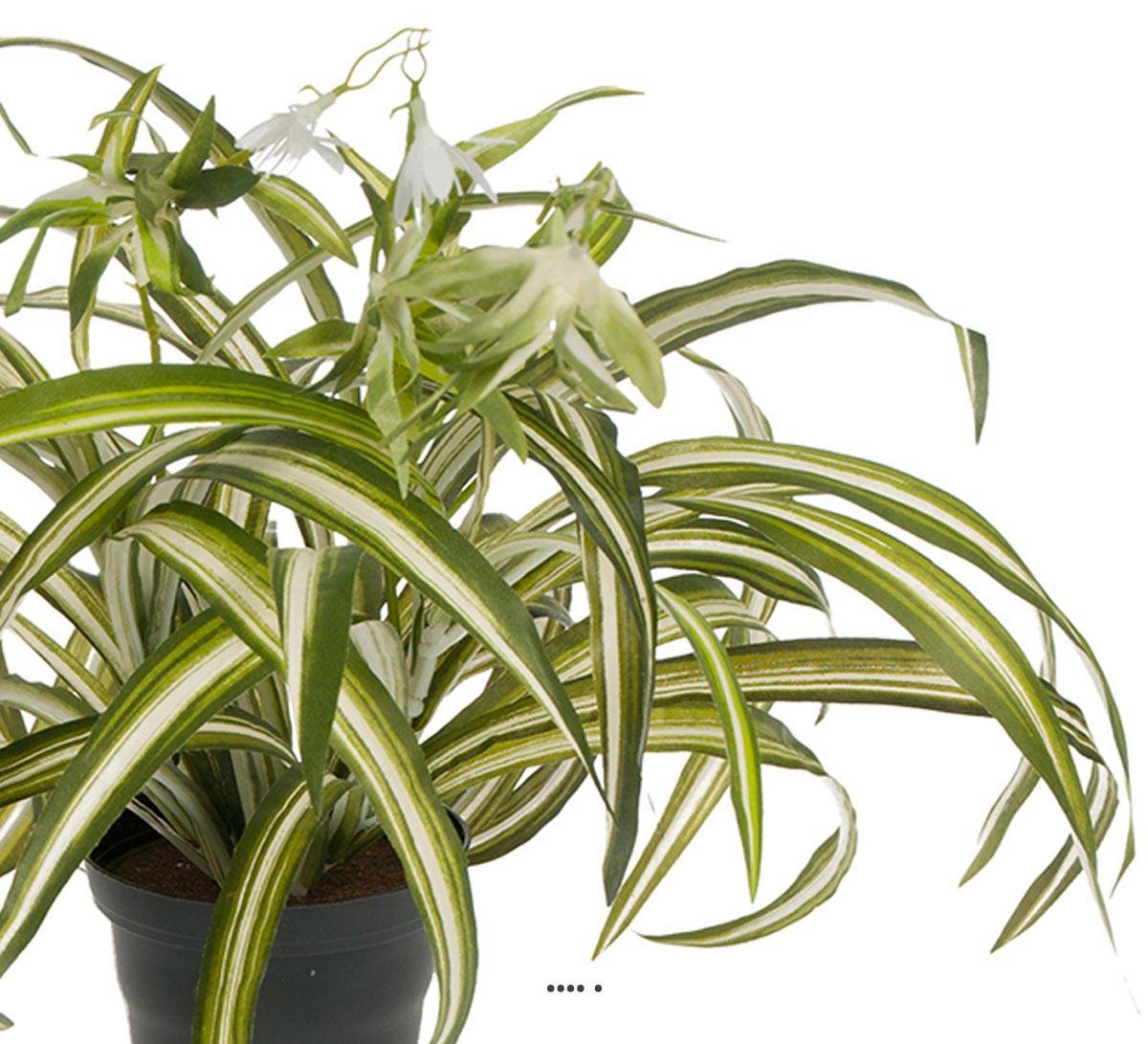 Artificielles - Chlorophytum plante artificielle en pot H 35 cm très dense - Imagen 3