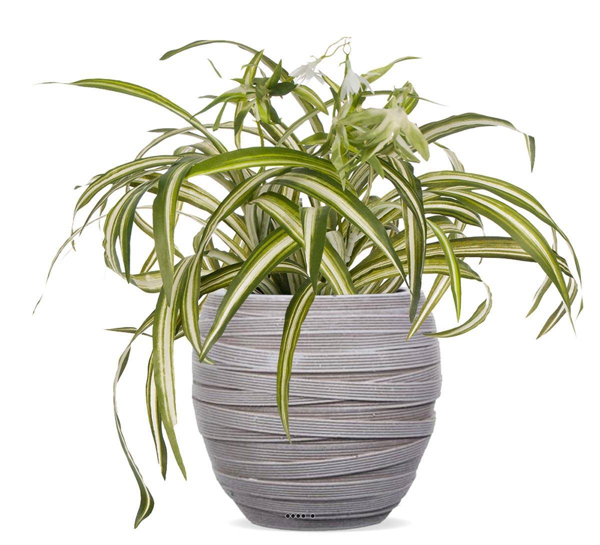 Artificielles - Chlorophytum plante artificielle en pot H 35 cm très dense - Imagen 2