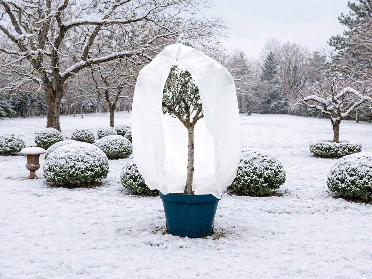Nature - Housse d'hivernage 70 g/m² Ø 2,00 x 2,50 m blanc - Nature - Image 2