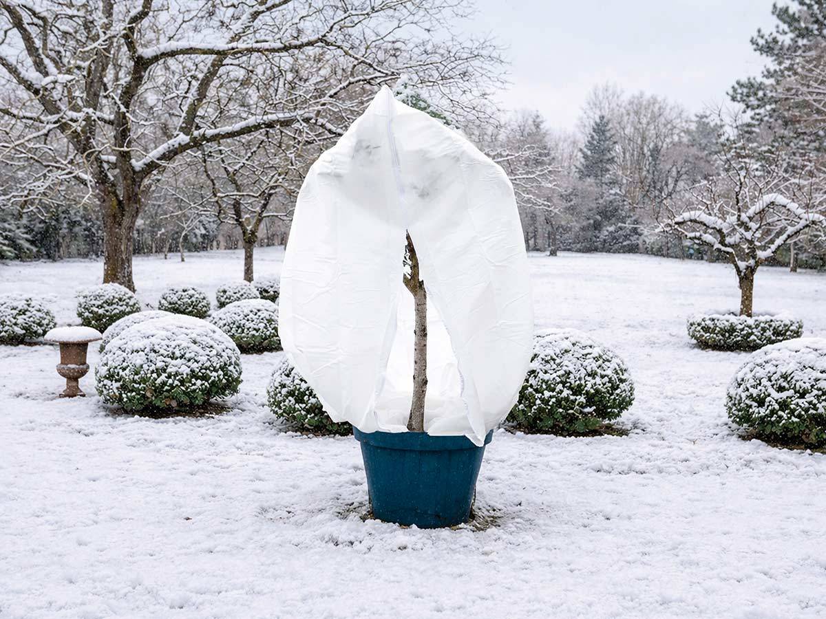 Nature - Housse d'hivernage 70 g/m² Ø 2,00 x 2,50 m blanc - Nature - Image 1