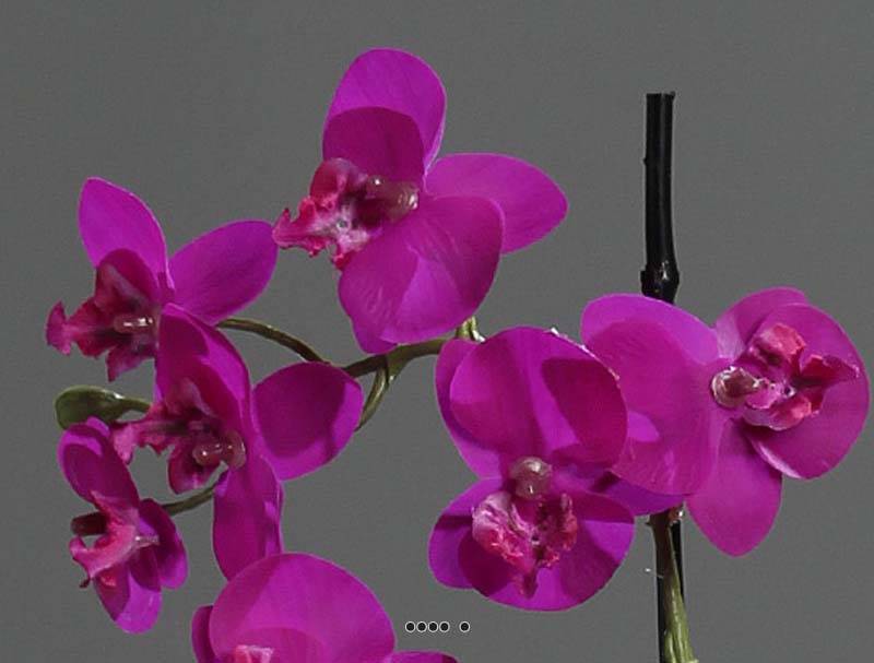 Artificielles - Orchidée phalaenopsis artificielle en pot céramique, H 30 cm Pourpre - couleur: Pourpre - Imagen 3