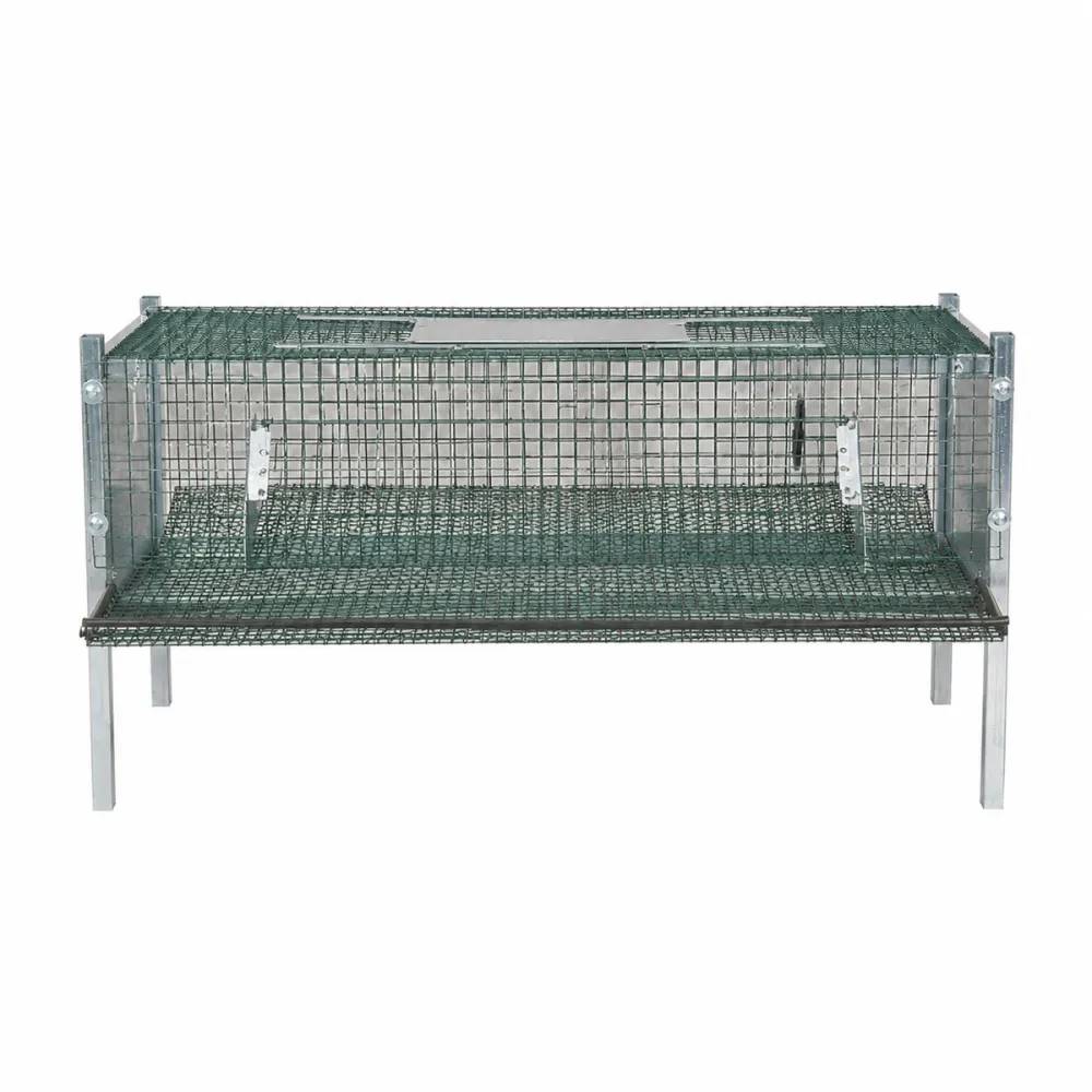 Cage en maille galvanisée pour cailles pondeuses (mini) - Image 2