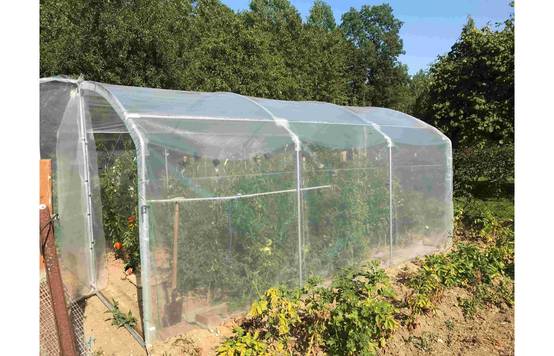 Serre tunnel de jardin - 22,5m² - 3 x 7,5 m - pieds droits - haute résistance à petit prix - LES SERRES TONNEAU - Image 3