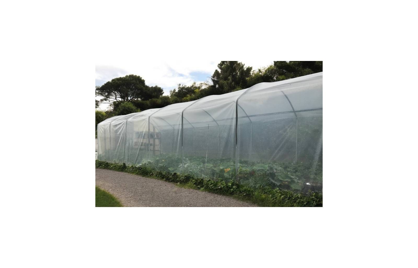 Serre tunnel de jardin - 22,5m² -  3 x 7,5 m - pieds droits - haute résistance à petit prix - LES SERRES TONNEAU - Image 1